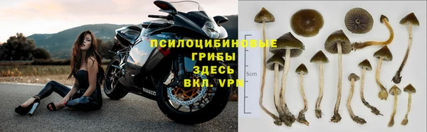 кокс Вяземский
