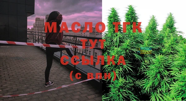 крисы Вязники