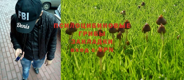 крисы Вязники